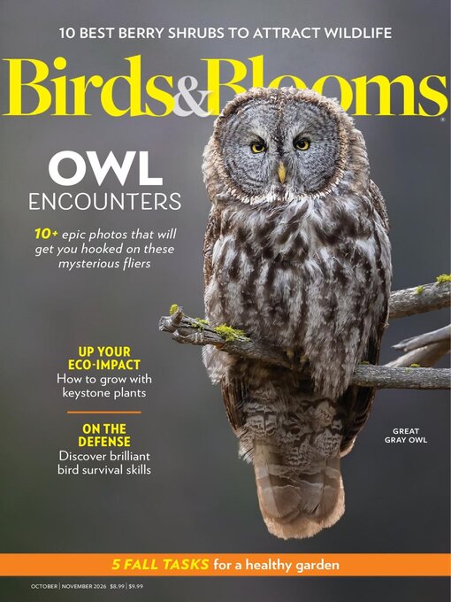 Cover image for Birds & Blooms